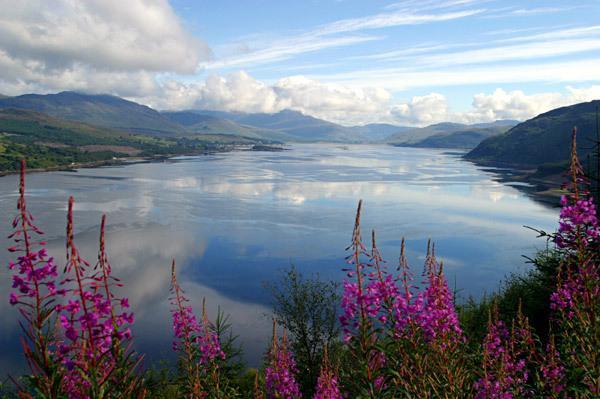 Glen Na Smole Wicklow Exterior foto